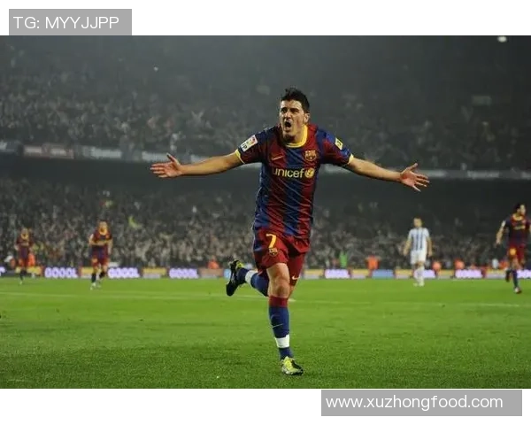 足球明星范克西的传奇旅程与辉煌成就全解析