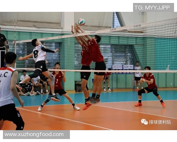 重庆排球队在钻石联赛中的默契配合与战术执行分析 重庆排球队在钻石联赛中的默契配合与战术执行分析