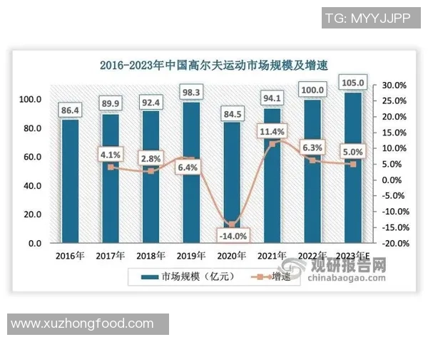 上海乒乓球队技术深度解析与训练方法探讨