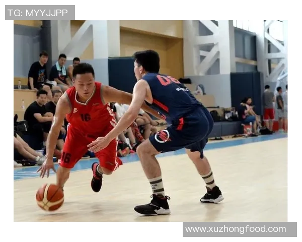 杭州篮球队总决赛精彩表现解析展现团队力量与战术智慧