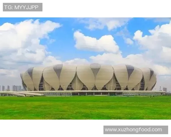 杭州足球队在奥运会上的实力展现与未来发展潜力分析