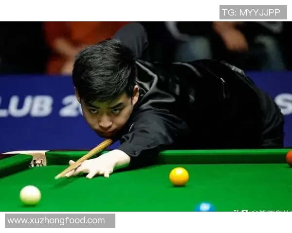 武汉羽毛球队防守策略分析与比赛表现评估