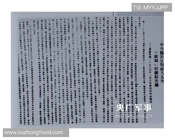 上海排球队阵地战体系解析与战术创新研究