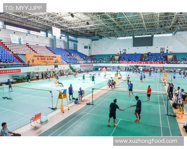 西安羽毛球队防反策略分析与比赛表现评估