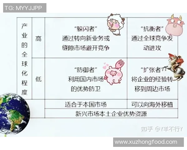 深圳排球队防守策略深度解析与战术运用探讨